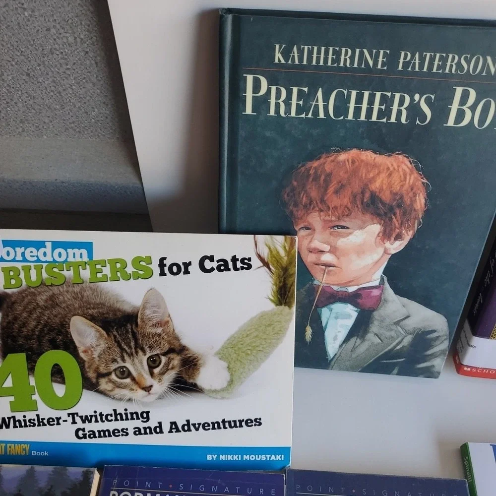 Homeschool Teacher Library Reading level 5 Readers Lot of 26 Books